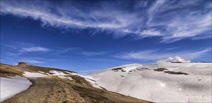 Rawsons Pass - Kosciuszko NP - NSW T (PBH4 00 10556)